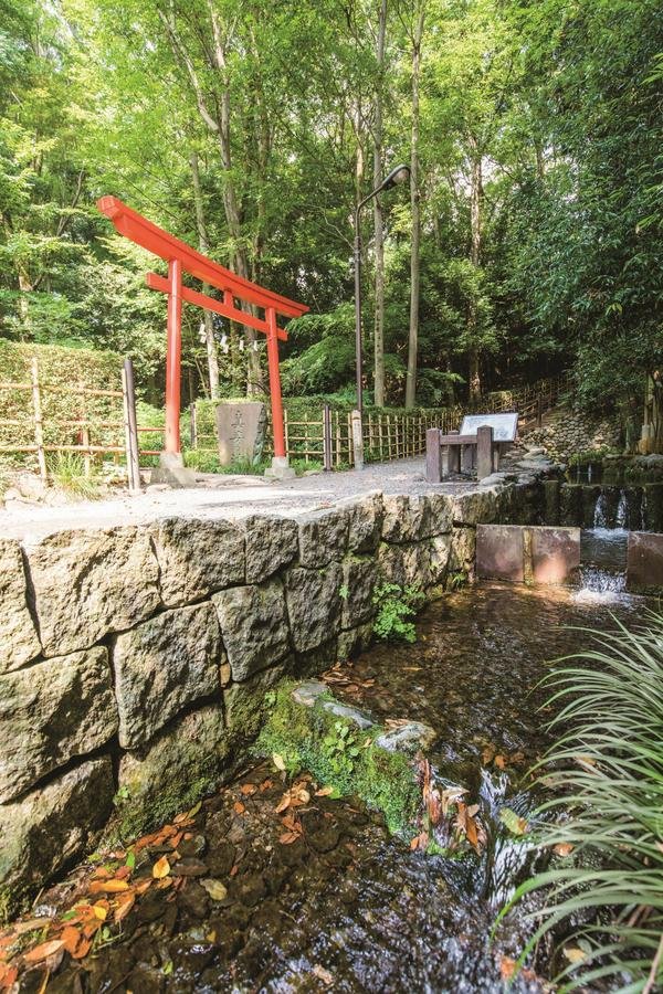 🏞️ 오타카노미치·마스가타노이케 용수군 이미지 1